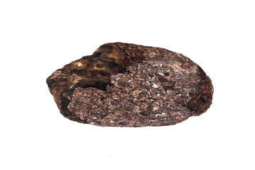 Piece of tree bark isolated on the white background. Top view.