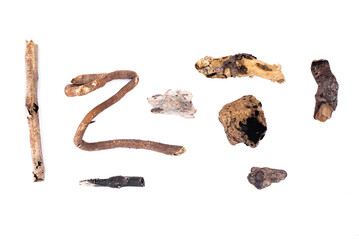 Dried wood tree parts isolated on the white background.