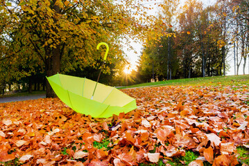 Carpet of fallen orange autumn leaves in sunset park and yellow umbrella. sunlight. Concept of...