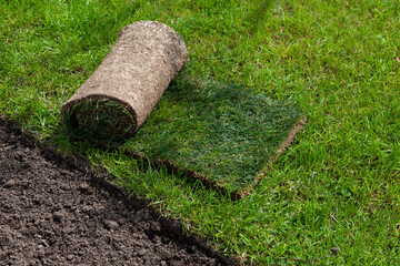 New artificial meadow. Roll of turf or turfgrass, close-up. Landscaping design, improvement of...