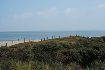 dunes and beach of the north sea 