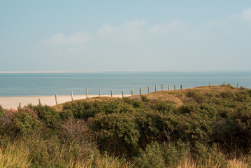 Fototapeta na wymiar dunes and beach of the north sea 