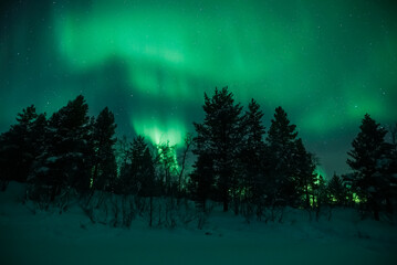 northern lights aurora borealis landscape with forest © Dimitri