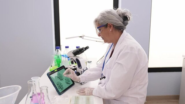 Middle age grey-haired woman wearing scientist uniform using microscope looking embryo image at laboratory