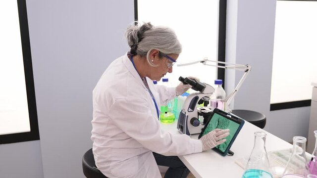 Middle age grey-haired woman wearing scientist uniform using microscope looking embryo image at laboratory