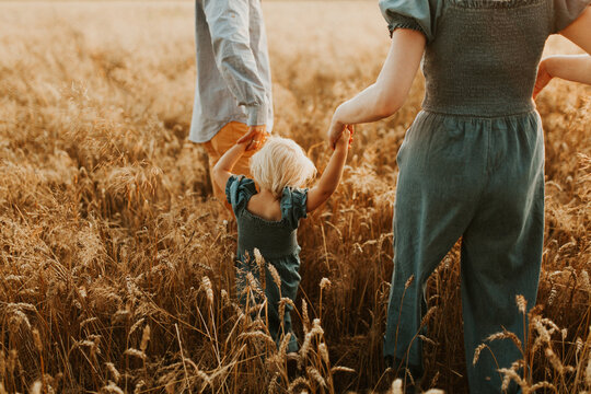 Parents and daughter relationship. Mom and dad hugs their kid. walking on a beautiful fiels. Close up of running kid and parents holding hands. Freedom and love concept. Happy family in a nature

