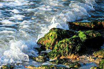 Waves crashing rocks on the shore
