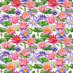 Lotus, beautiful flowers, hand drawn watercolor painting, seamless pattern