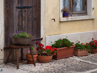 design elements of the green zone in the garden