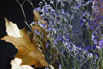 Composizioni di foglie e fiori autunnali fotografate su un fondo spatolato in varie tonalità di...