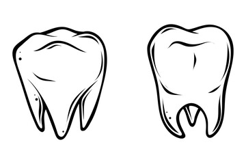 Human teeth, hand drawn vector illustration