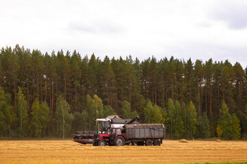 Fototapeta premium Combines and tractors are working in the fields. Agriculture in autumn - harvesting with combines.