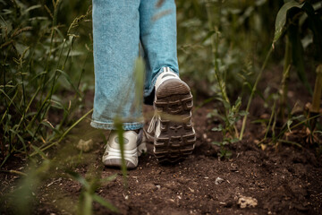 Fototapeta premium A low view of women's feet in sneakers walking along a path in the grass. A girl walks in the wild. Close-up Slow motion