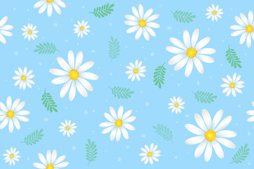 Fototapeta na wymiar seamless pattern with daisies