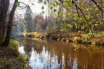 Autumn forest and river on a sunny day. Beautiful autumn landscape