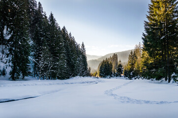 Winter mountain landscape, frozen river covered with snow flowing between the trees.