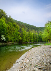 Fototapeta na wymiar river in mountains. wonderful springtime scenery of carpathian countryside. blue green water among forest and rocky shore. wooden fence on the river bank. sunny day with clouds on the sky