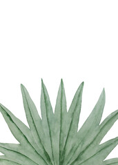 Tropical leaves card template. Green palm jungle florals. Watercolor free-hand illustration for card, wedding invitation, banner, event flyer, poster, presentation, menu, lifestyle