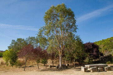 Obraz premium Ermita de Nuestra Señora de la Anunciada, Ureña, Valladolid, Castilla y León, España