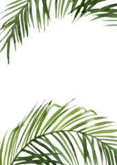 Tropical leaves card template. Green palm jungle florals. Watercolor free-hand illustration for card, wedding invitation, banner, event flyer, poster, presentation, menu, lifestyle