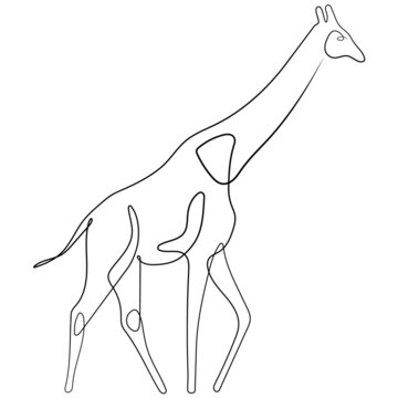 recommend clip art: Giraffe line art in vector. Continuous one line drawing of giraffe silhouette isolated on white background. Giraffe icon. Illustration can be used for magazine, background, logotype.