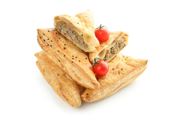 Samsa with ingredients isolated on white background