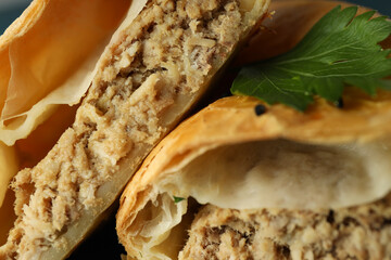 Golden crispy samsa all over background, close up
