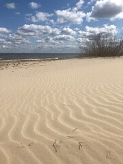 footprints in the sand dunes