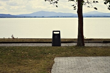 An isolated garbage can under a tree in a park on Lake Trasimeno (Umbria, Italy, Europe) - 464255584