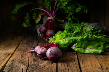 Botwina, Rustic Young Beetroot