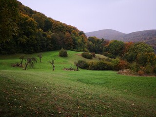 Herbstlandschaft auf der Alb