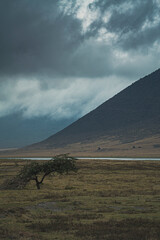 Ngorongoro Serengeti Taranguire Tanzania Safari