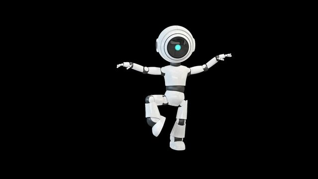 Robot Kung Fu fight