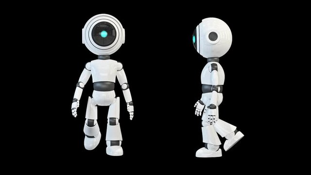  Robot walking front and side view