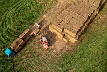 Farmer unloading round bales of straw from Hay Trailer with a front end loader. Store hay at farm....