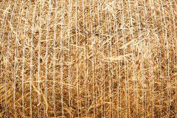 Hay background, texture. Hay storage in field. Haystacks prepared for farm animal feed in winter. Stacks dry hay open air field storage. Store hay correctly after wet weather. Straw bale harvesting.