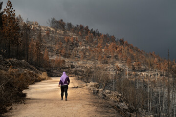 A Woman on a Forest Path after a Wildfire