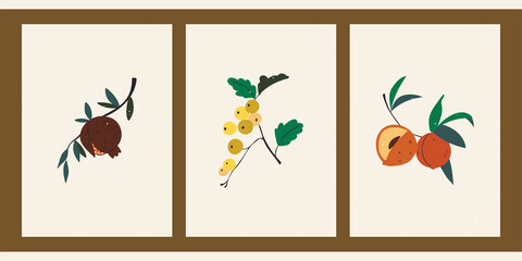 Set of hand drawn still lifes with fruits. Summer, autumn harvest. Minimalistic abstract backgrounds with pomegranate, berry, peach. Organic natural illustrations. Vintage abstract posters.