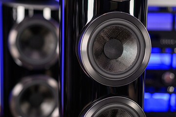 An expensive premium home stereo speaker system. Loudspeaker diffuser. Home audiophile studio. Blue...