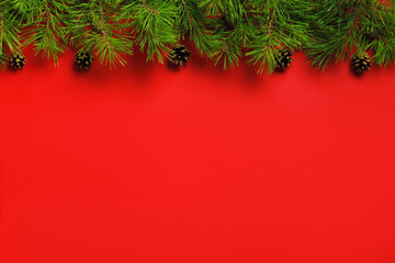 Christmas banner of fir tree branches with cones on red background with place for text