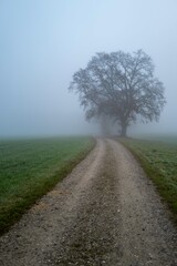 Feldweg im Herbst