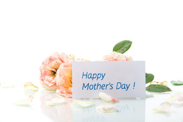 bouquet of beautiful roses isolated on white