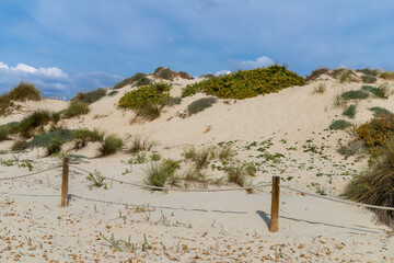 Espalmador islet make up the best preserved dune system of the Balearic Islands. It is part of the...