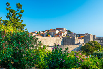 Fototapeta na wymiar Dubrovnik city walls and Minceta tower, panoramic view of city. Green tress, palms and oleander flower. Beautiful ancient city and fortress, adriatic sea. Sunny summer day.