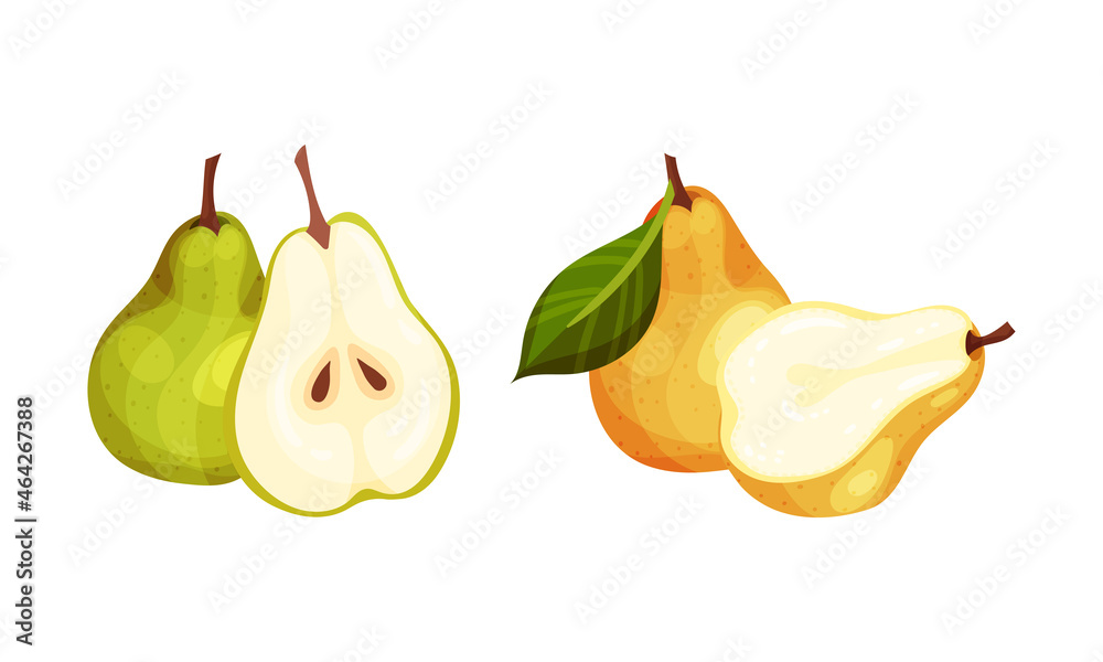 Wall mural Fresh ripe pears set. Whole and cut in half organic yellow and green fruit vector illustration