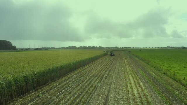 Traktor und Maish&auml;cksler w&auml;hrend der Maisernte mit der Drohne gefilmt Agriculture 4.0