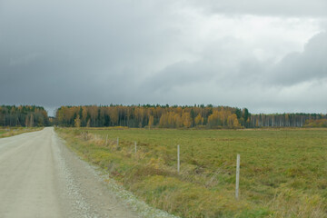 Fototapeta premium a number of sandy country road with dramatic skies before rain on the edge of a green meadow