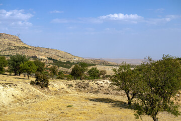 View of mountains hills and steppe vegetation.