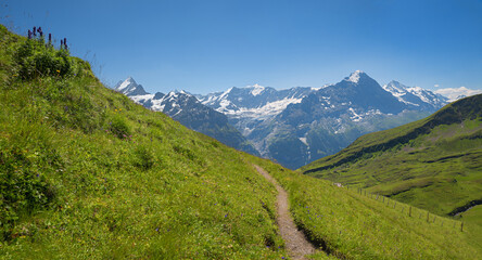 Fototapeta na wymiar mountain view from Grindelwald First hiking path to bernese alps switzerland