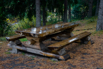 A beautiful table in the middle of a pine forest after the rain with crumbling needles